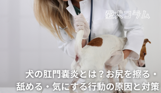 犬の肛門嚢炎とは？お尻を擦る・舐める・気にする行動の原因と対策